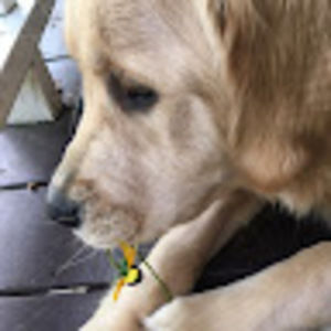 Meet your Posher, Tavia